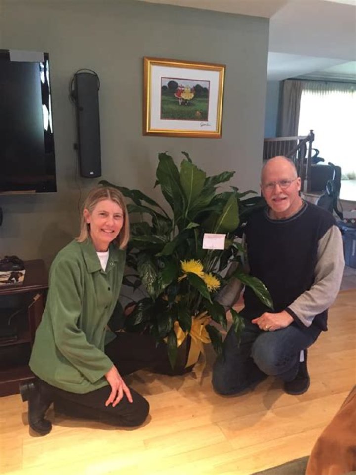 Unveiling The Legacy Of Sharon Vallas: Discoveries And Insights